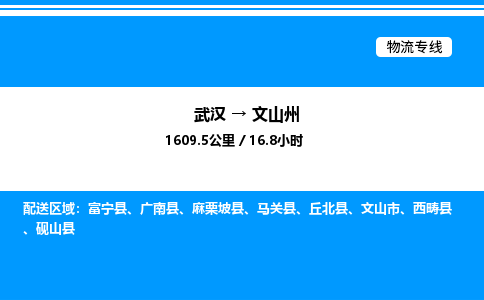 武漢到文山州物流專(zhuān)線(xiàn)-武漢至文山州貨運(yùn)公司